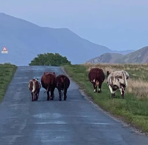 Vakantiehuis Teapot In Ennerdale - Hot Tub Pizza Oven Log Burner Cleator