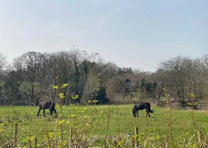 Vakantiehuis Teapot In Ennerdale - Hot Tub Pizza Oven Log Burner Cleator